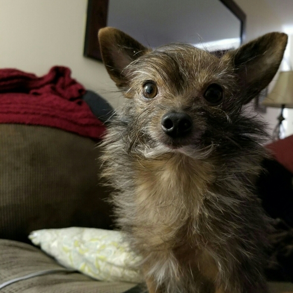 Meet your Posher, Lisa - Picture 11 of 11